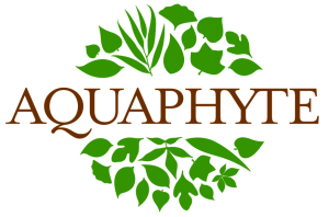 logo exposant